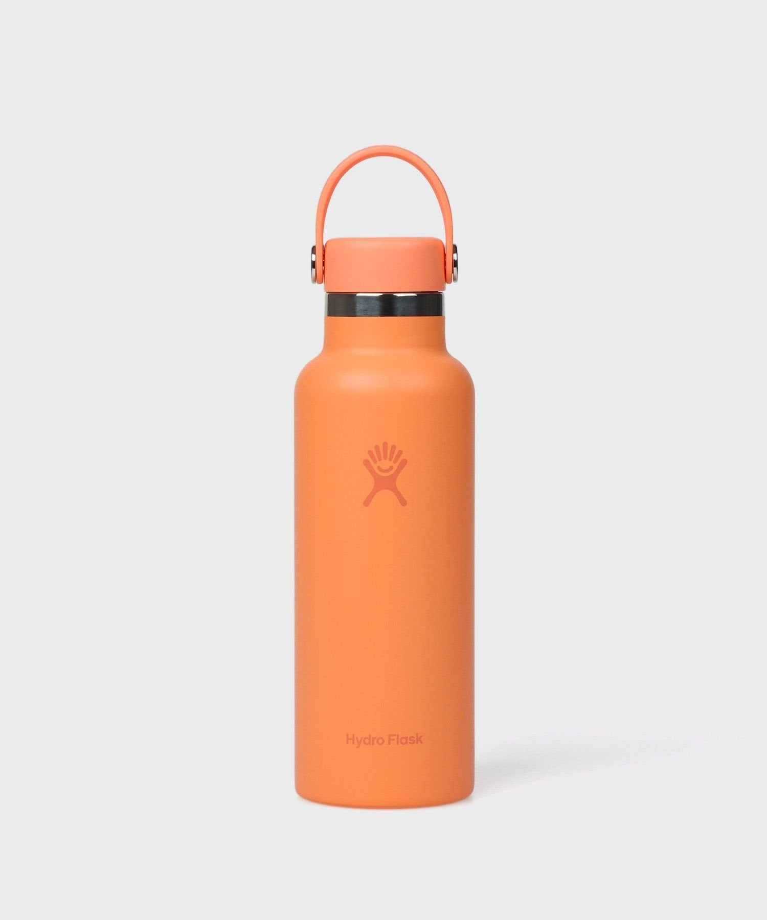 バドルストン8インチtype０ Hydro Flask×Psycho Bunny 18oz Standard Mouth ステンレスボトル