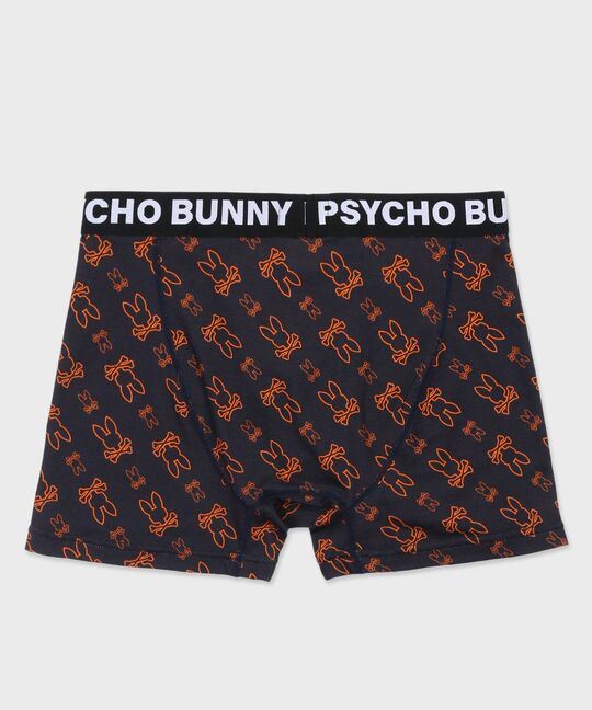 アウトラインバニーパターン アンダーウェア